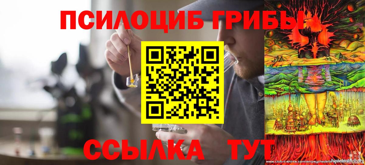 Галлюциногенные грибы Cubensis  закладка  Асбест  Вход с VPN 