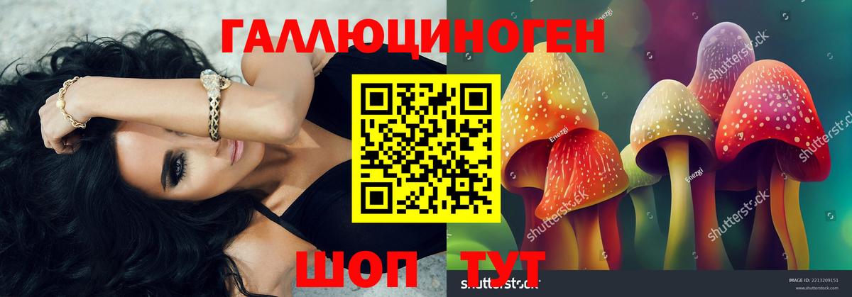 Галлюциногенные грибы мухоморы Асбест